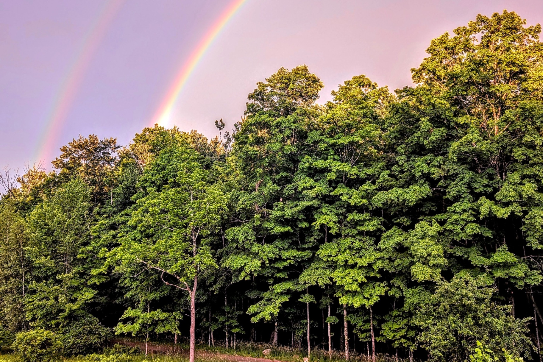 AKERA | Catskills Retreat Center & Creative Sanctuary