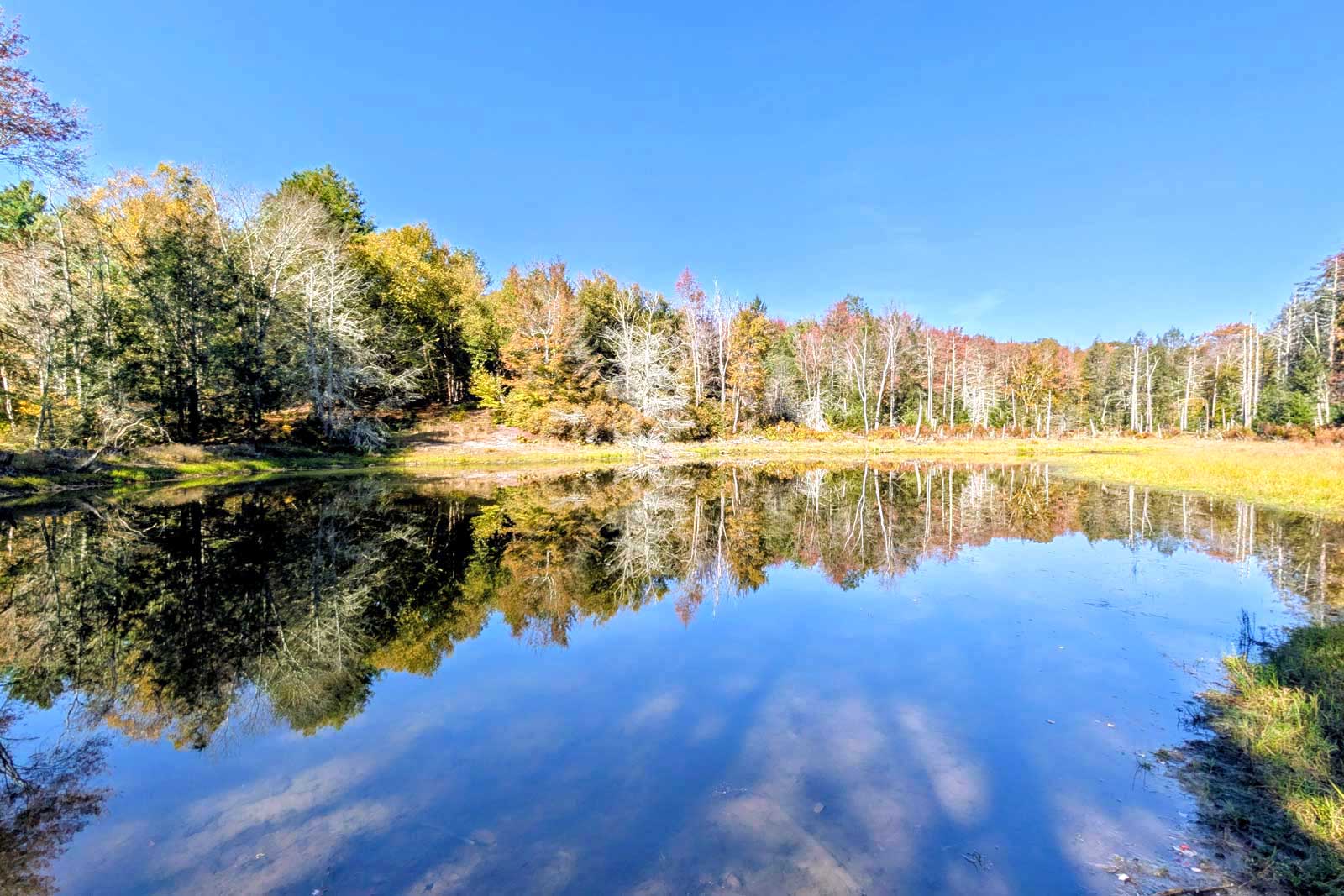 AKERA | Catskills Retreat Center & Creative Sanctuary