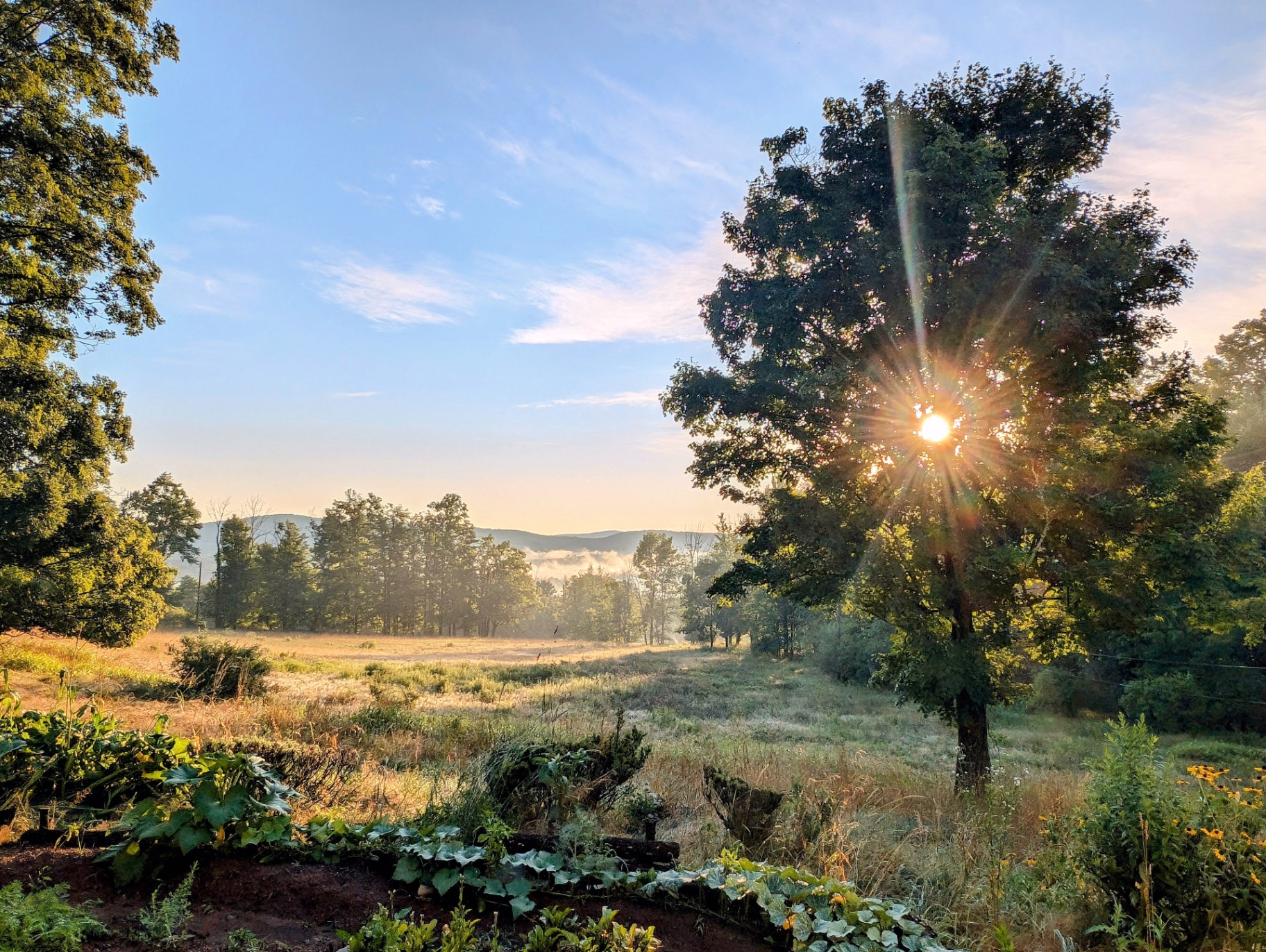 Book a Discovery Call with AKERA | Catskills Retreat Venue
